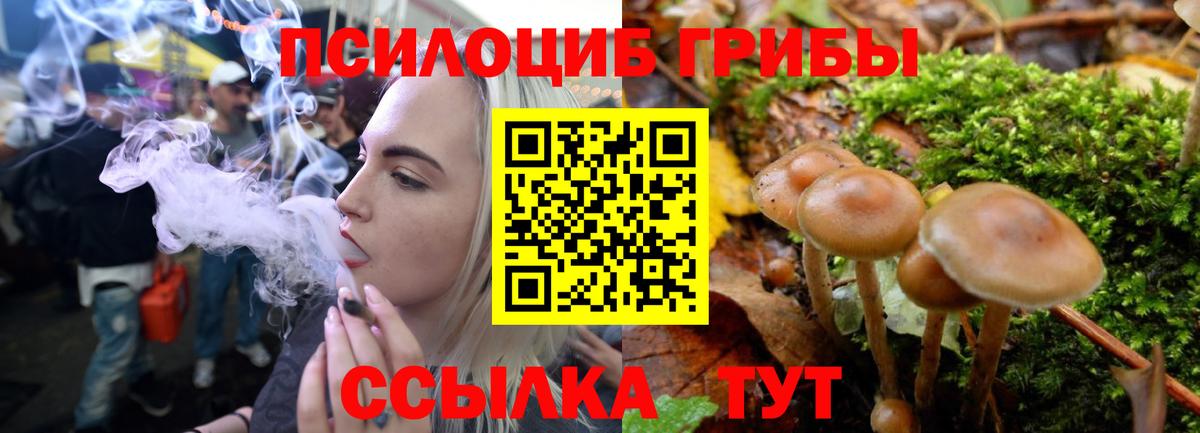 Галлюциногенные грибы Psilocybe  Вход с VPN  Новочеркасск 